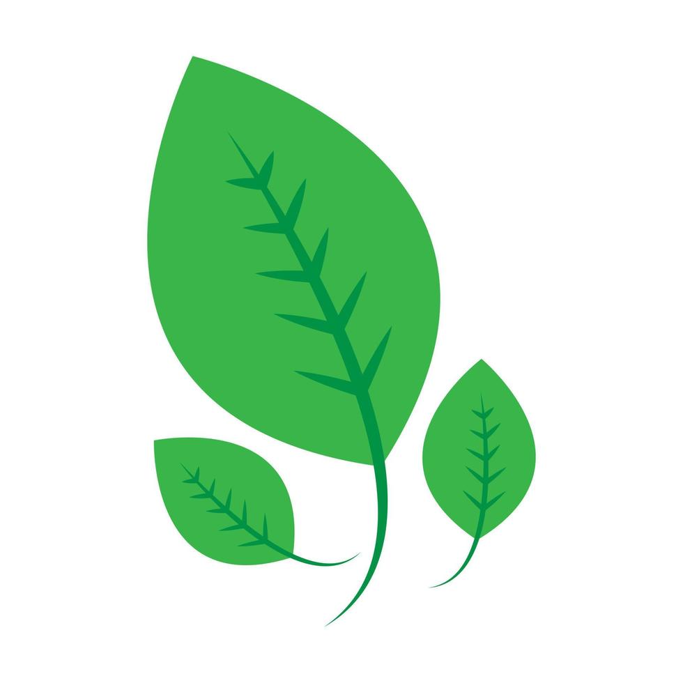 Leaf of tree and plant. Ecology, bio and natural products concept vector