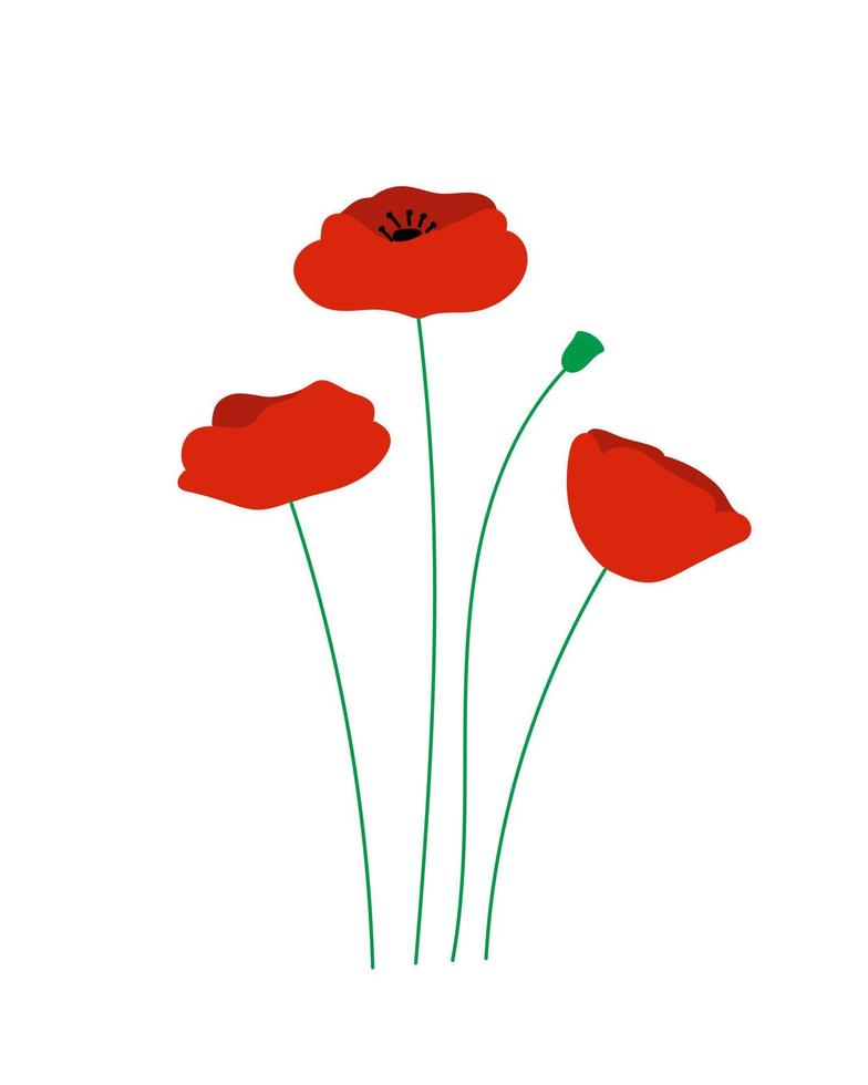 Red poppy meadow flowers. Flat vector illustration.