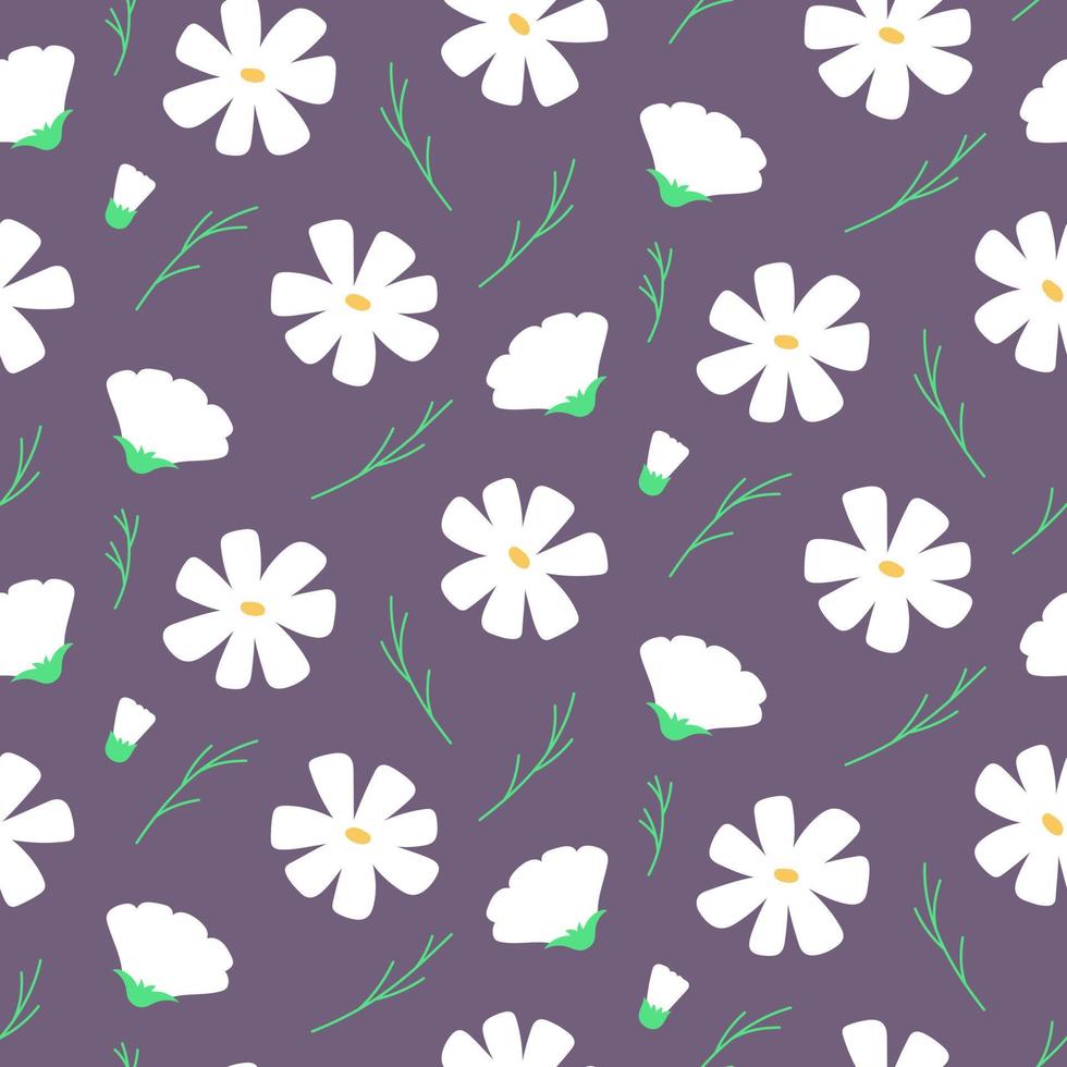 patrón sin fisuras de la flor del cosmos. flores blancas sobre fondo morado. para textiles, fondos de pantalla, impresión, saludo, páginas web. vector