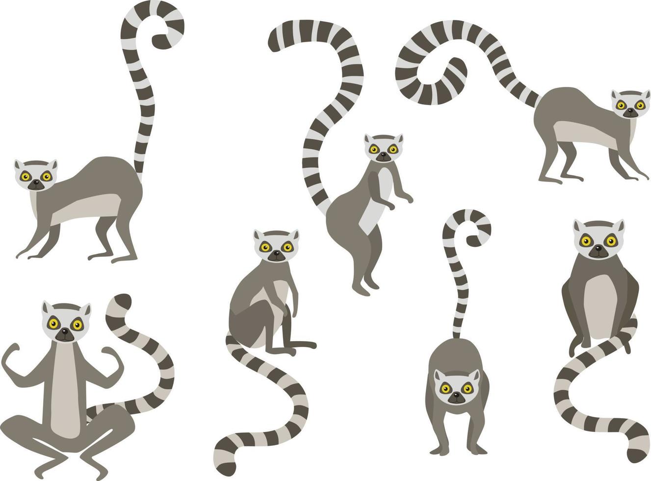 Set of vector illustration of walking and sitting lemurs isolated on white background