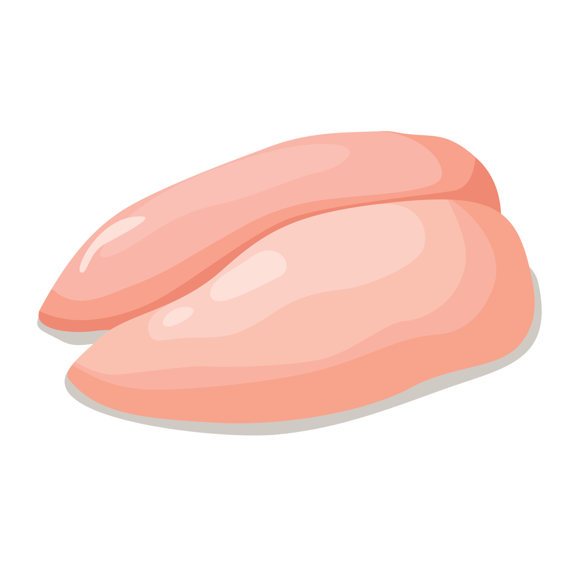 Raw chicken breast. Vector Illustration on a white background 7412789  Vector Art at Vecteezy