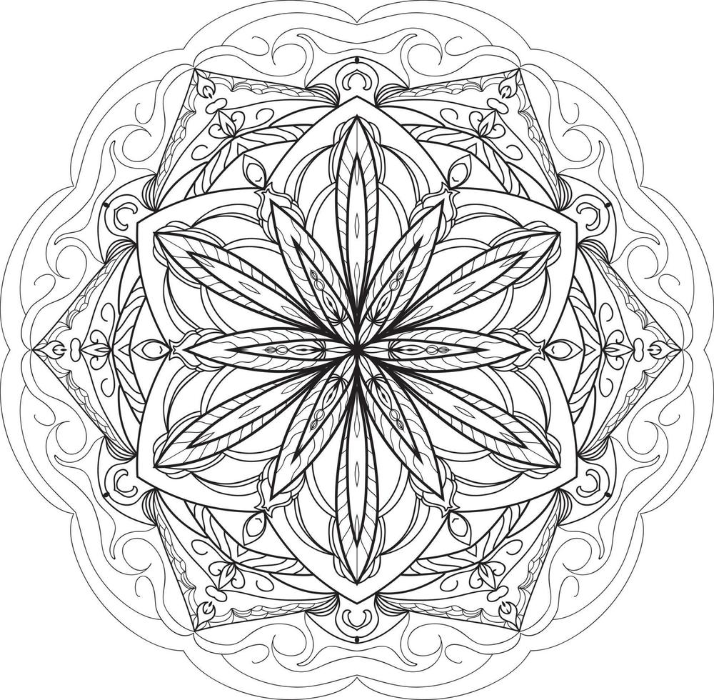 Circular Flower Mandala on White Free Vector