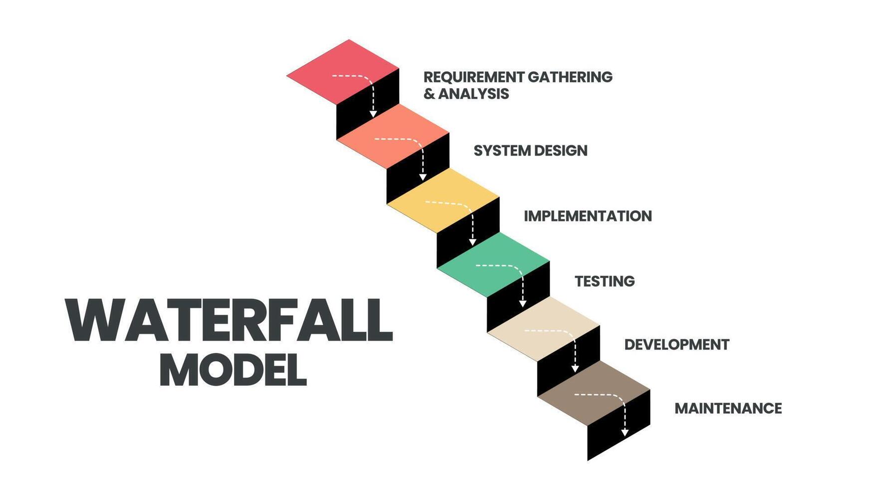 el vector infográfico del modelo de cascada se utiliza en ingeniería de  software o procesos de