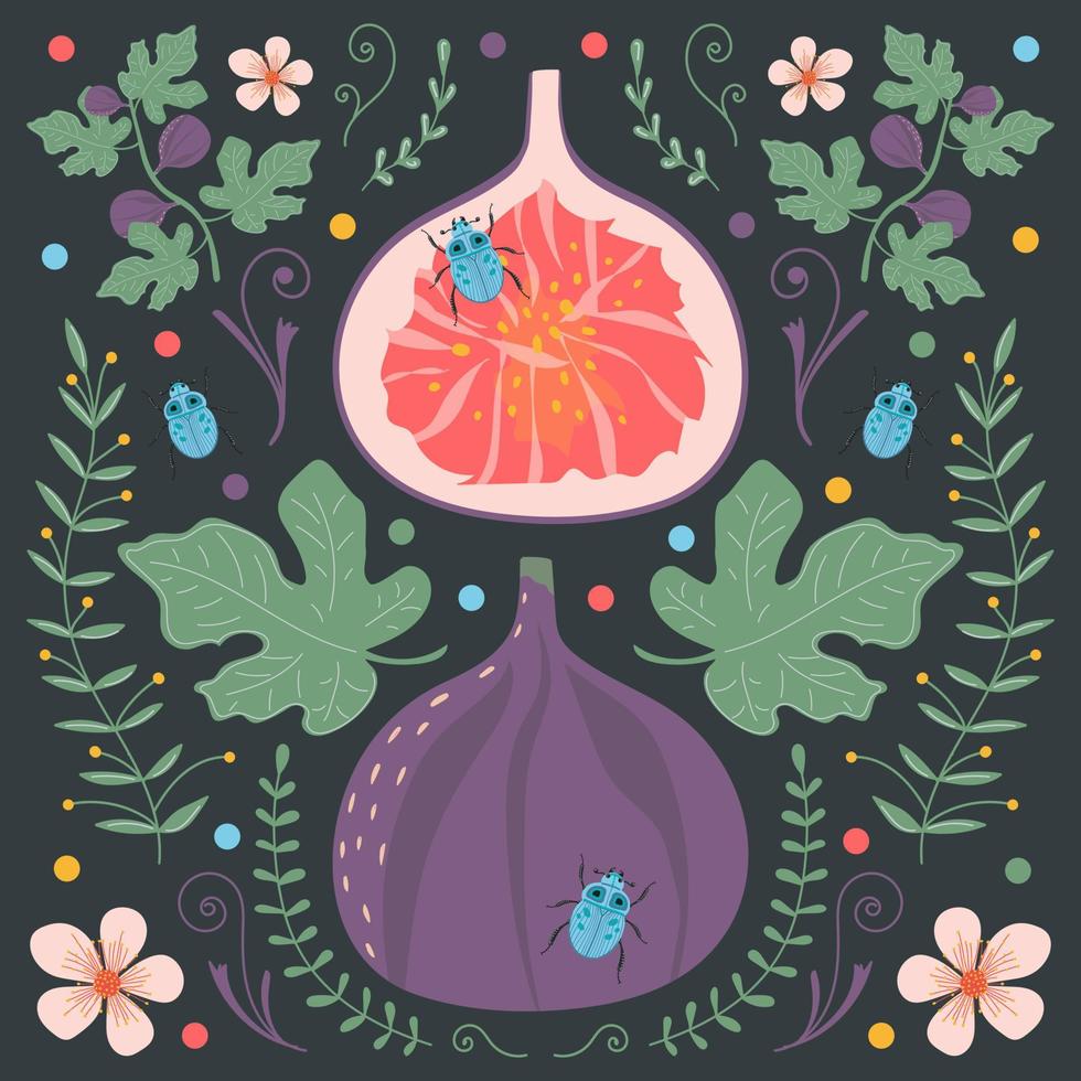 Figs on a dark background with floral elements, flowers, leaves and blue beetles. vector