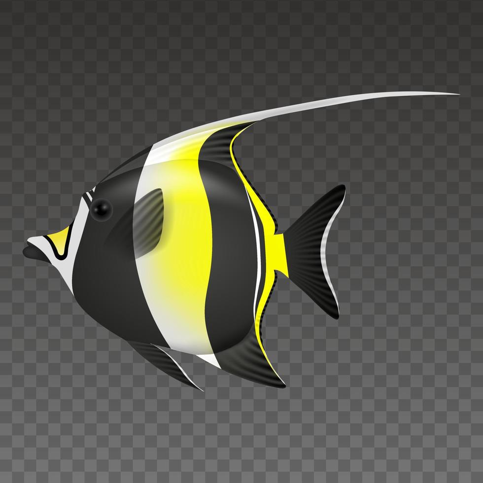 isolated moorish idol fish illustration vector