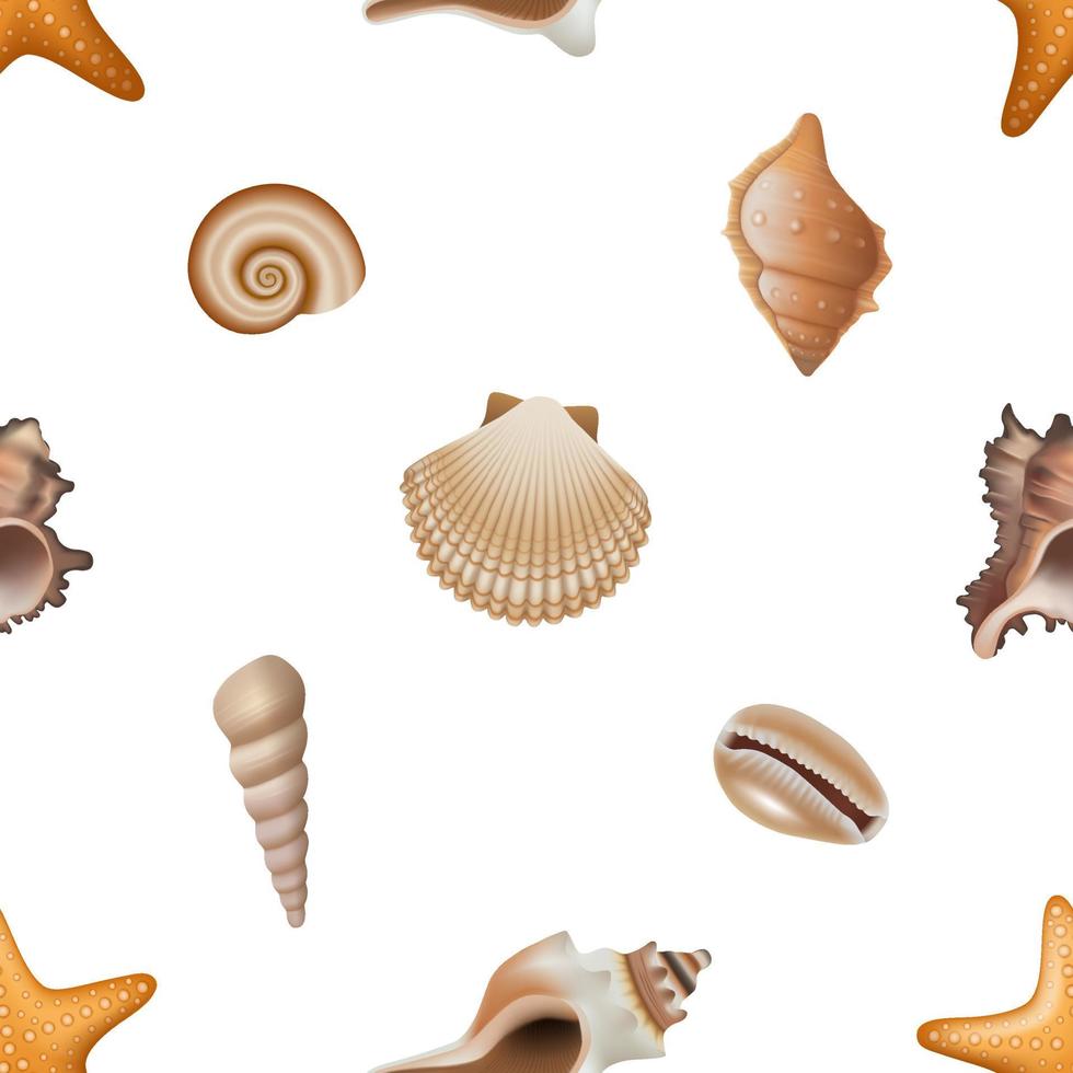 seamless pattern with shells. summer texture with seashells. vector
