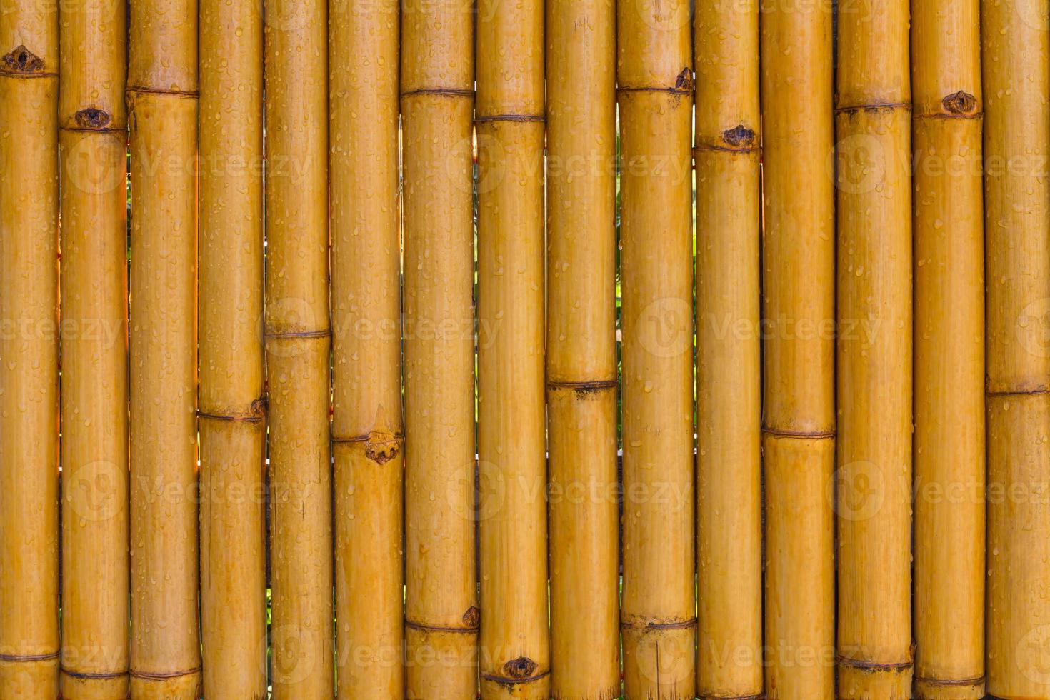 Bamboo fence, rain, wet photo