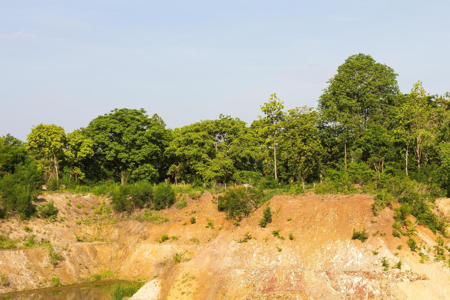 Trees on soil erosion photo