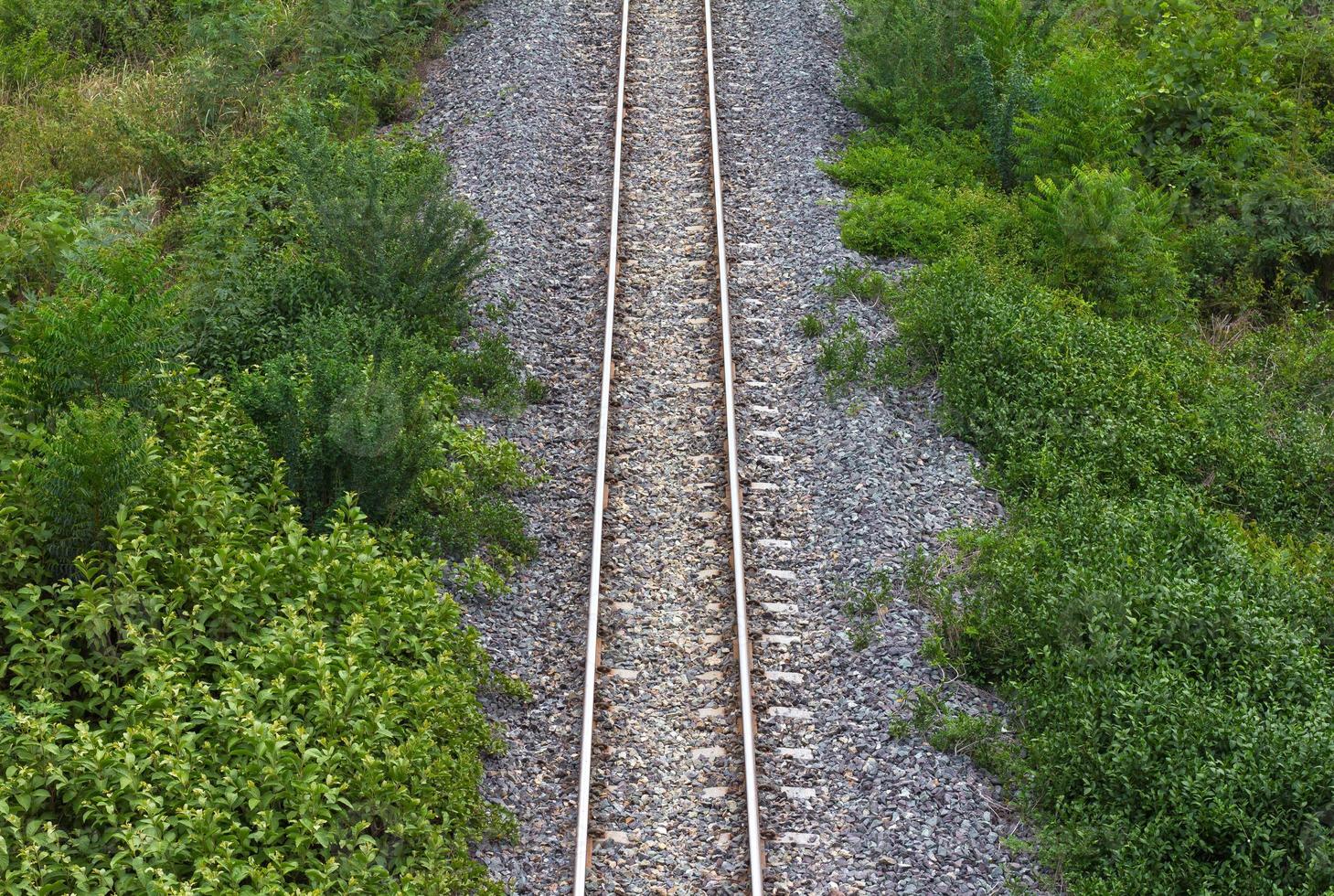 Railway with grass, weeds photo