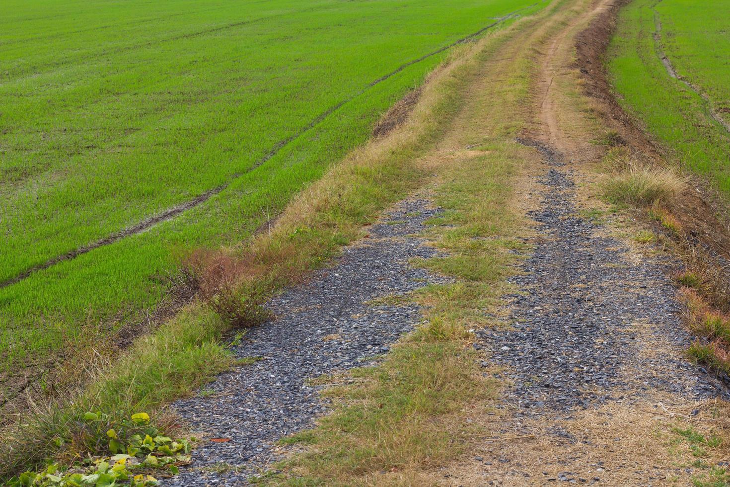 Agriculture rocky dirt road photo