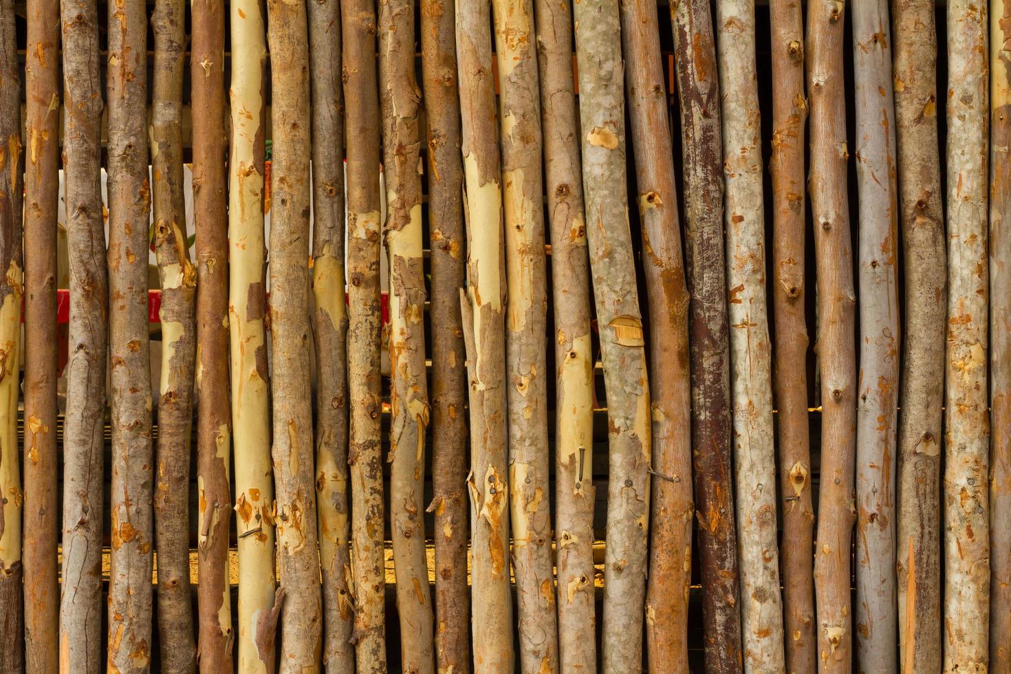 Eucalyptus small fence photo