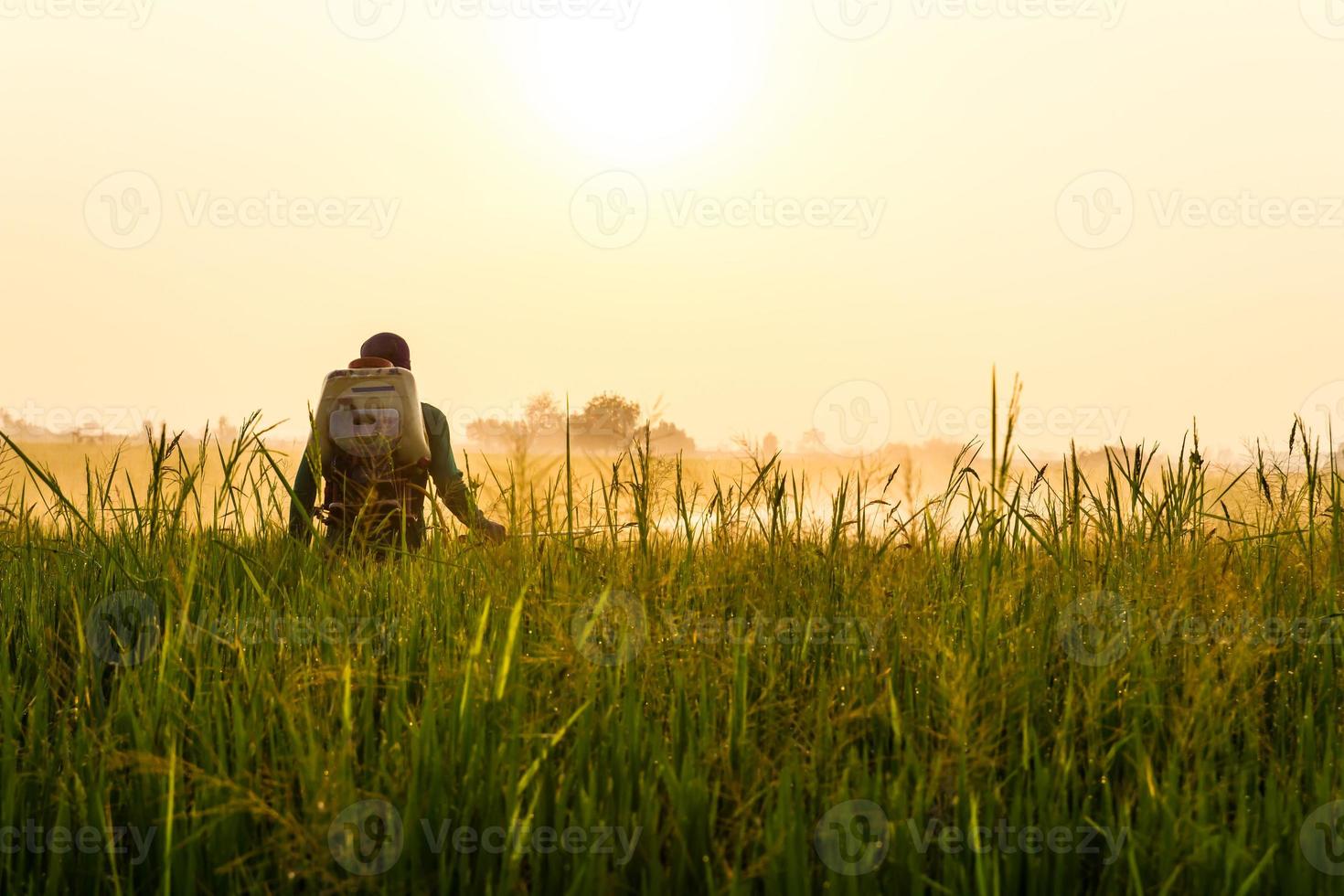 Farmers spray herbicide photo