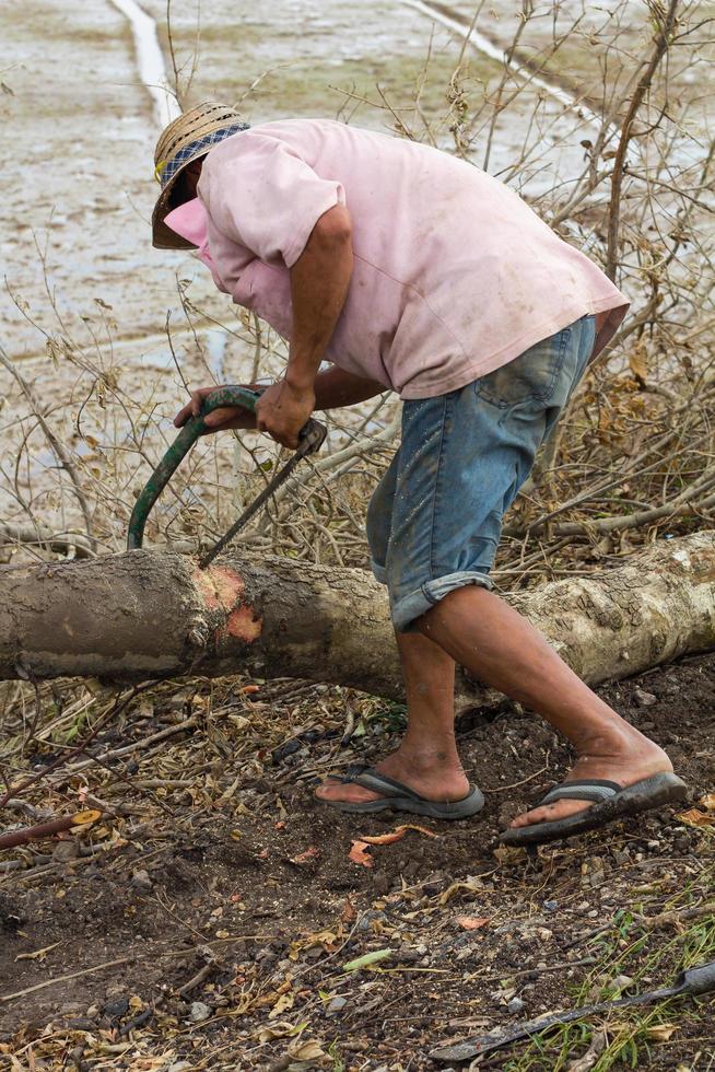 Man sawing wood by hand photo