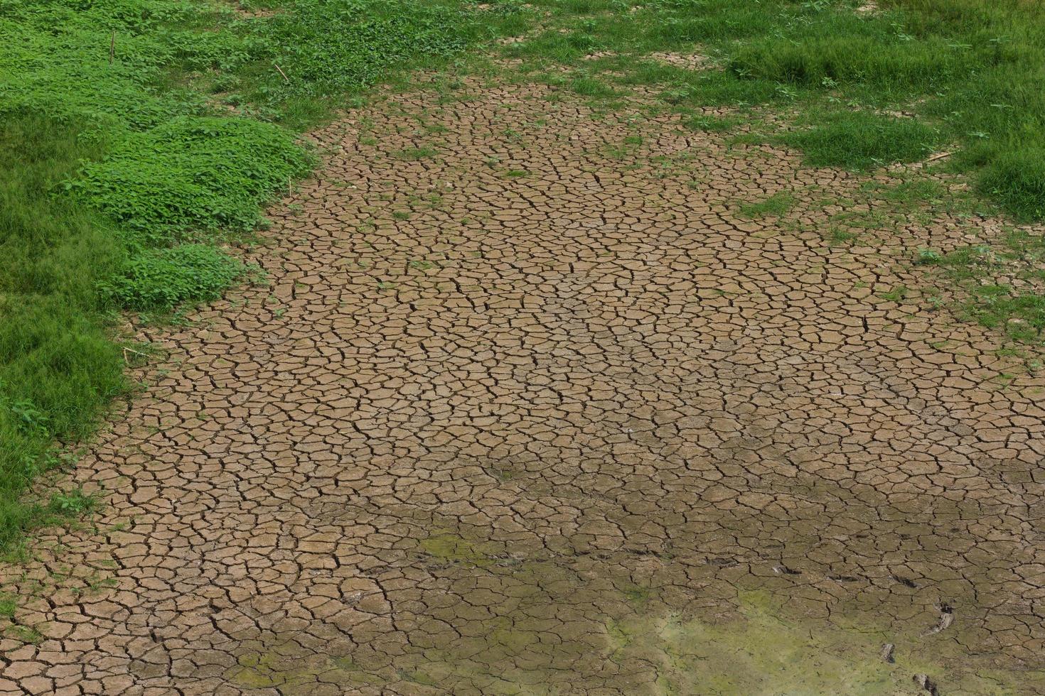 Cracked earth with grass photo