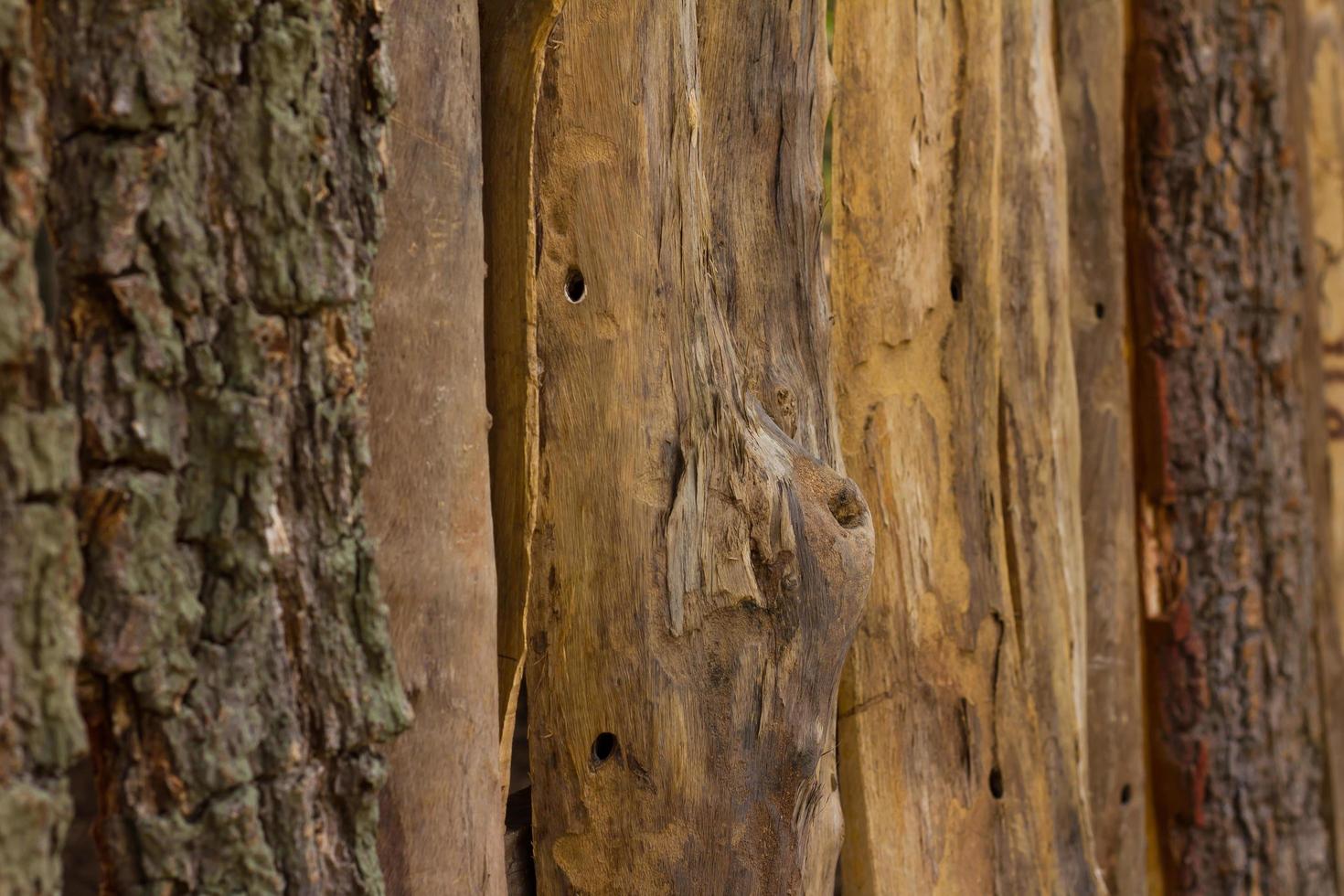 valla de madera con nudo foto