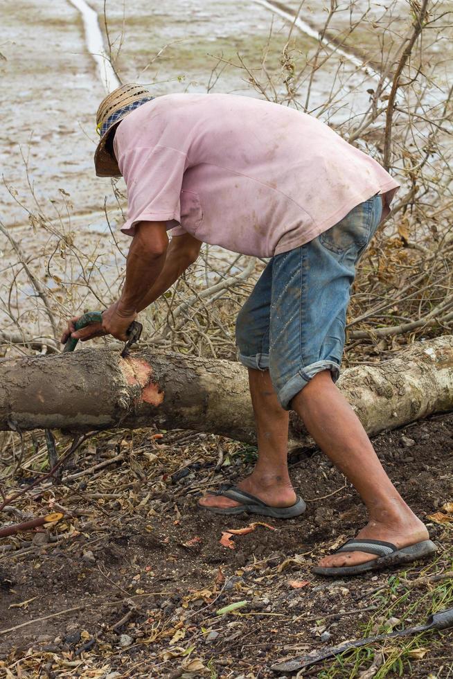 Man sawing wood by hand photo