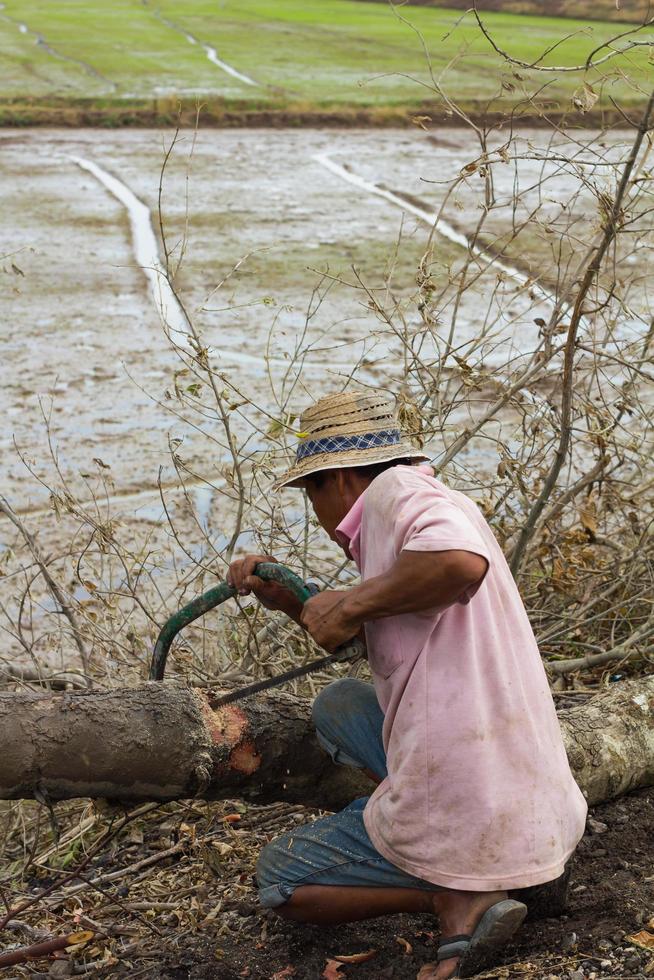 Man sawing wood by hand photo