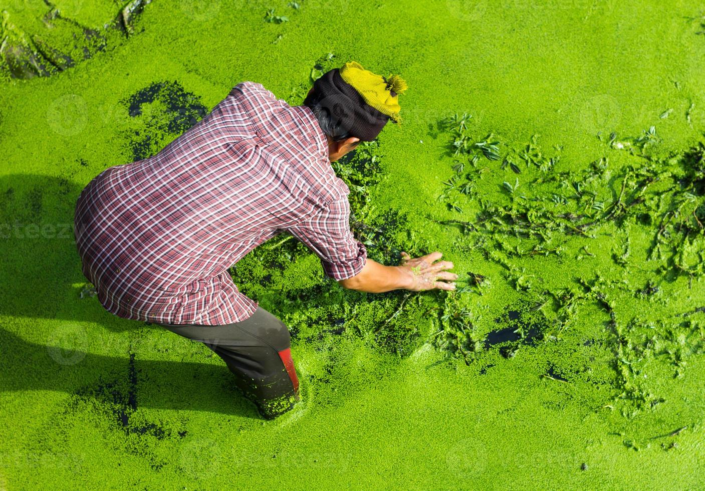 Man with weeds Spawn photo