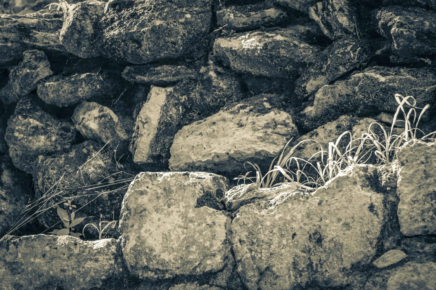 Ancient Mayan site texture temple ruins pyramids artifacts Muyil Mexico. photo