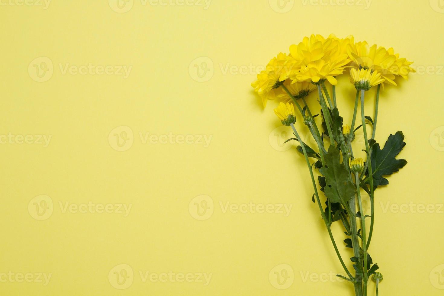 Yellow flowers on template postcard with copy space isolated background. Valentine and mother day. Top view and copy space. Flower delivery and online order luxury flowers for holidays. Summer photo