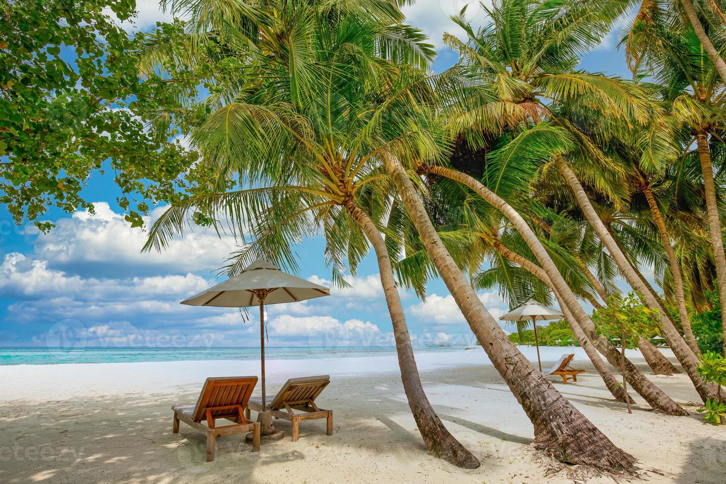 naturaleza de playa tropical como paisaje de verano con tumbonas y palmeras y mar tranquilo para la pancarta de playa. lujoso paisaje de viaje, hermoso destino para vacaciones o vacaciones. escena de la playa foto