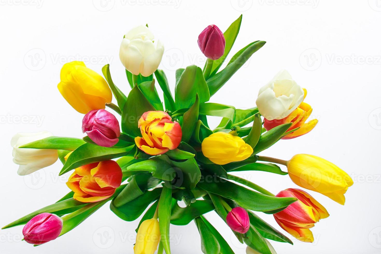 Bouquet of colorful multicolored tulips on white background. Happy easter. Spring symbol photo