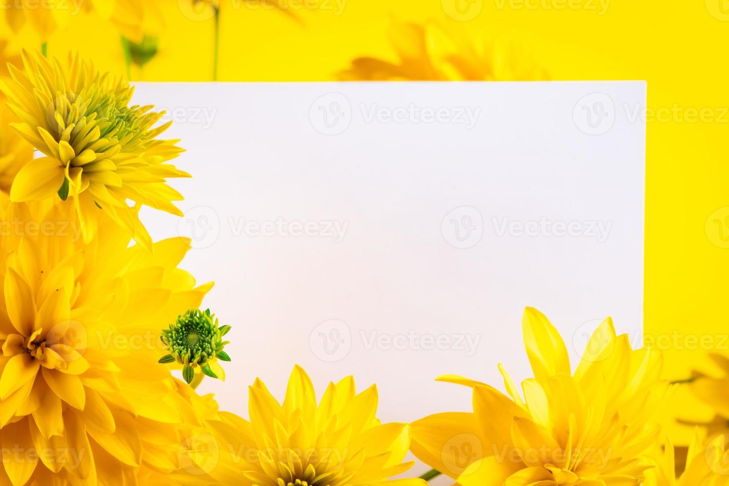 Blank greeting card in frame of yellow flowers. Trendy minimalism. Invitation, place for text. photo