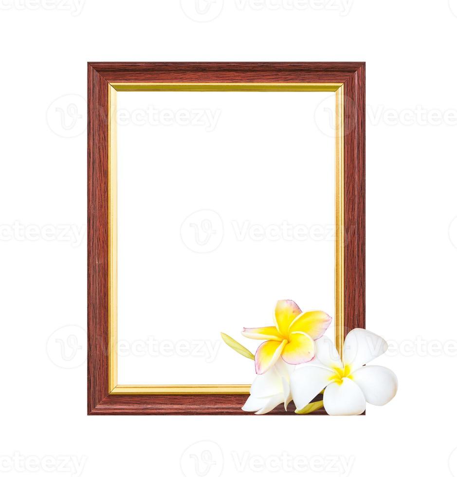 vintage frame with plumeria flower photo