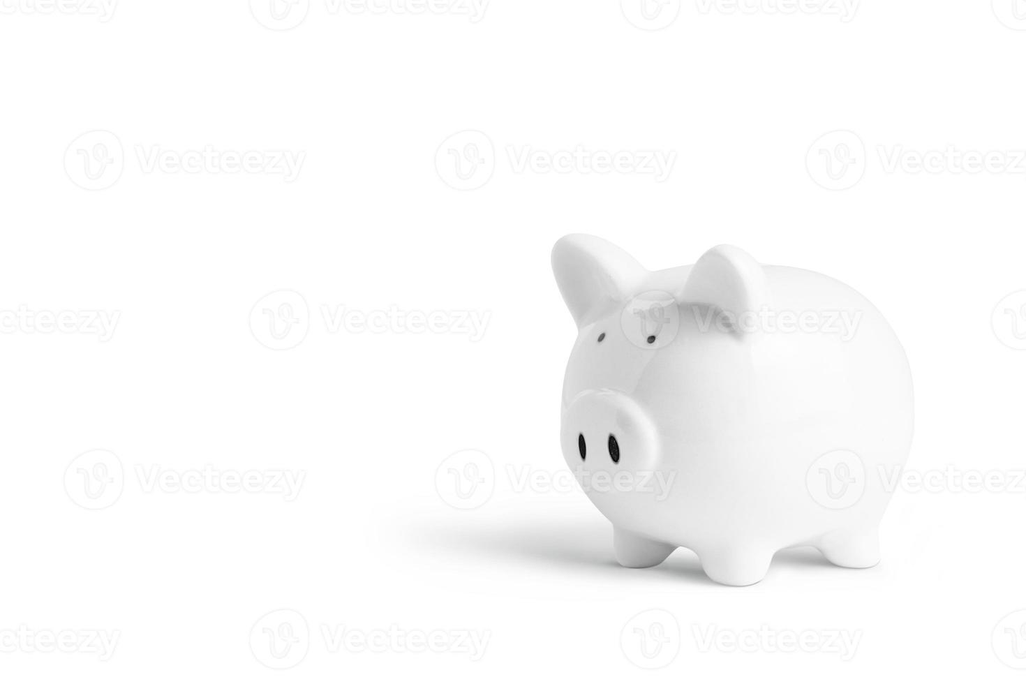 piggy bank isolated photo