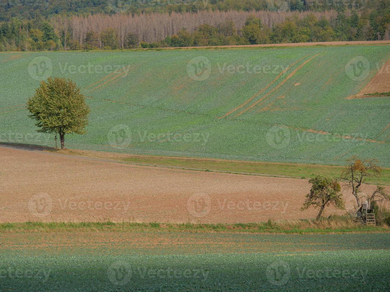 the small city of Waldeck in Hessen photo
