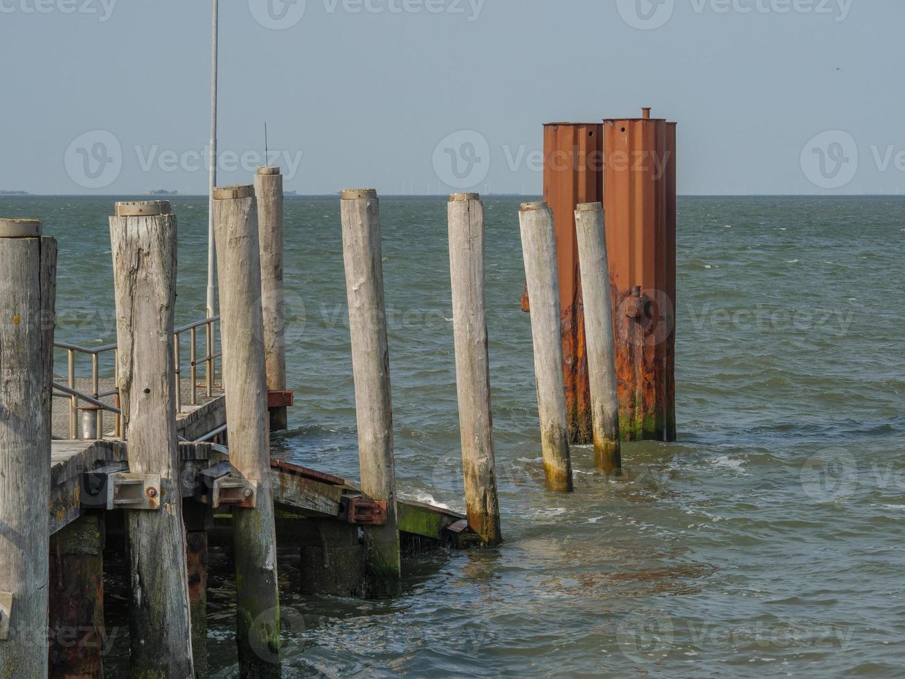 Hallig Hooge in the german north sea photo