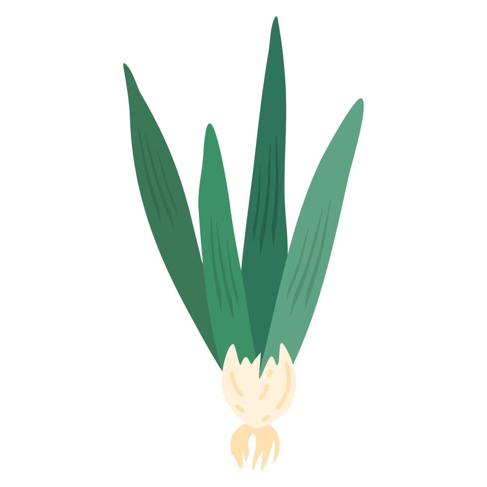 green spring onion vector