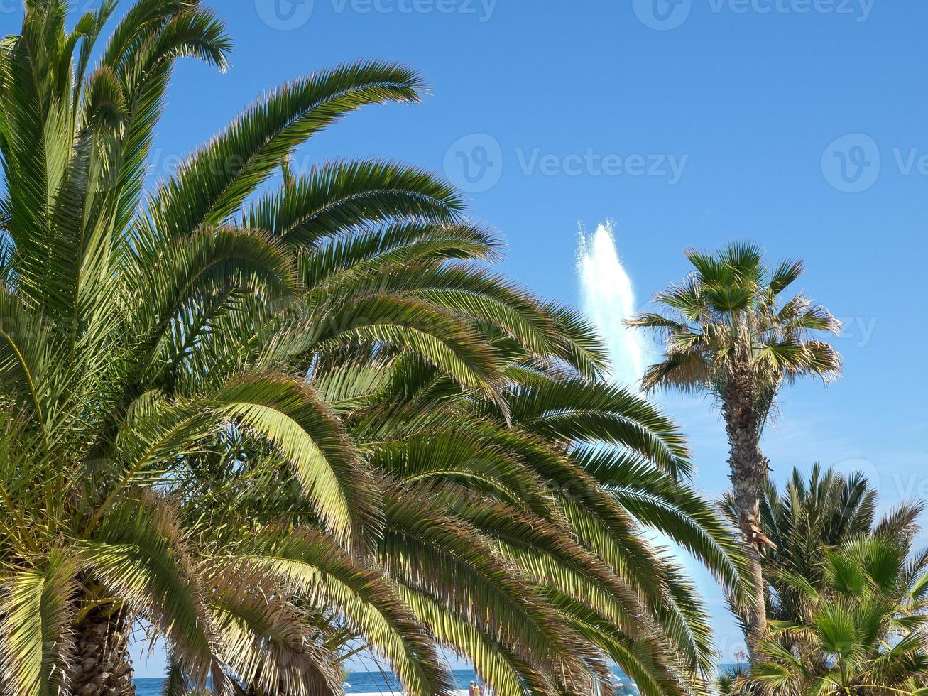 tenerife island in spain photo