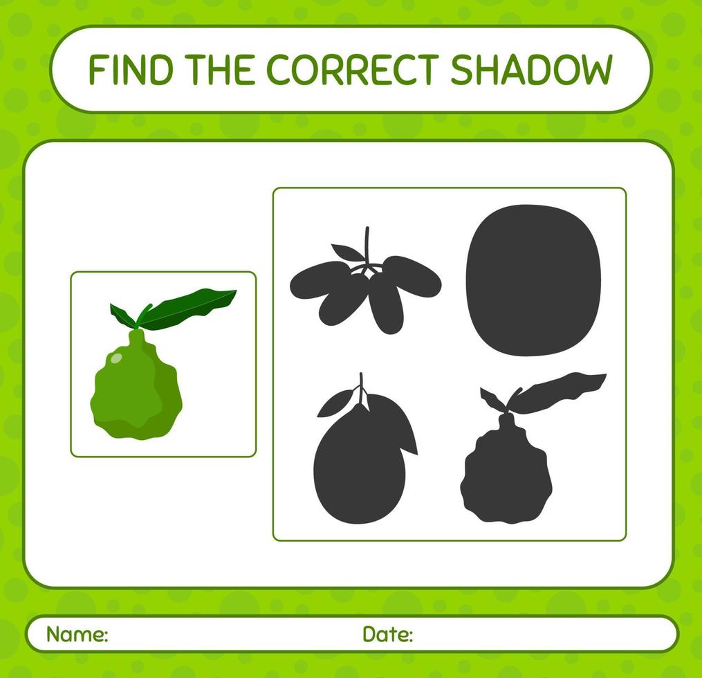Find the correct shadows game with kaffir lime. worksheet for preschool kids, kids activity sheet vector