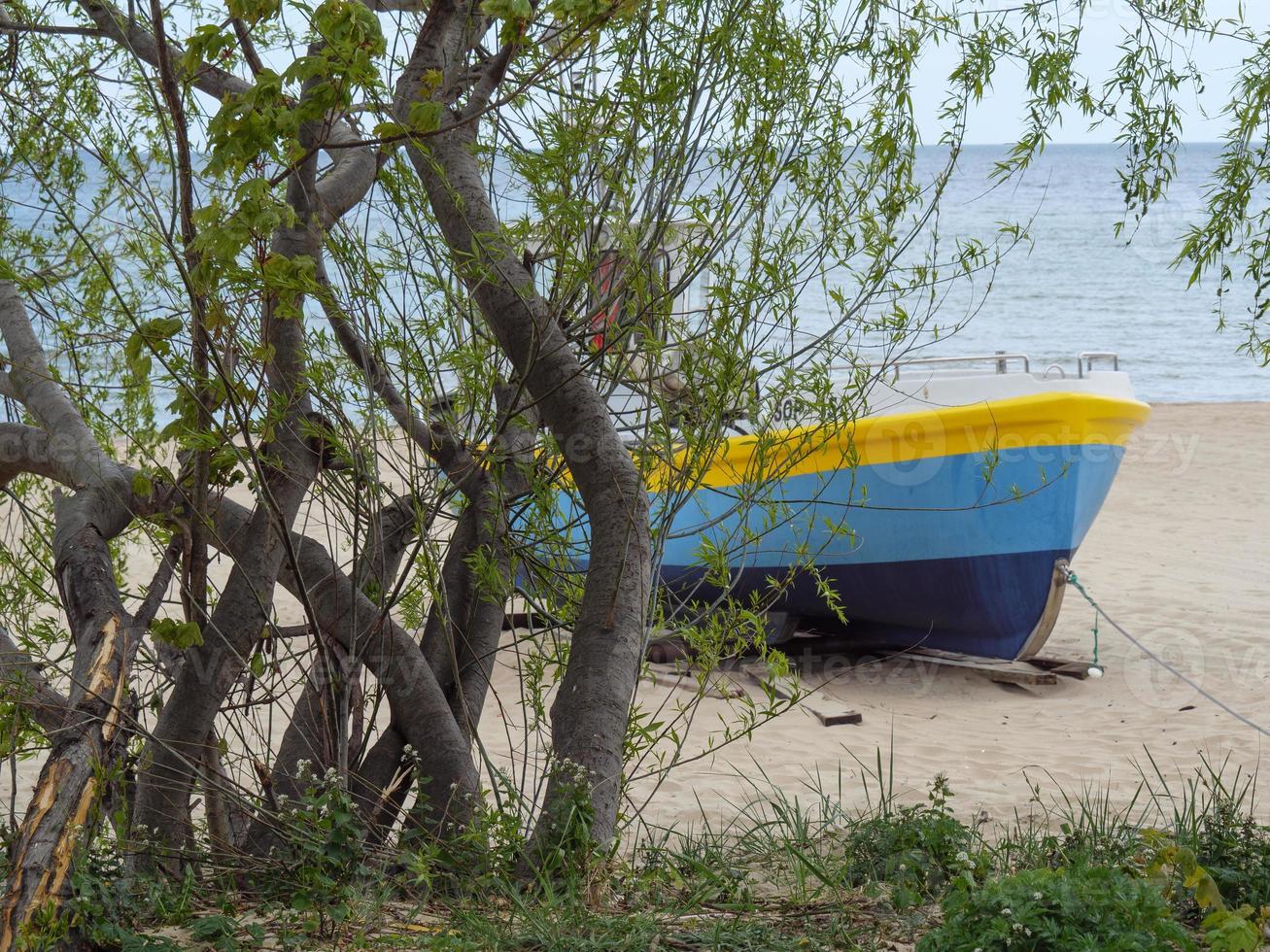 the beach of Sopot in Poland photo