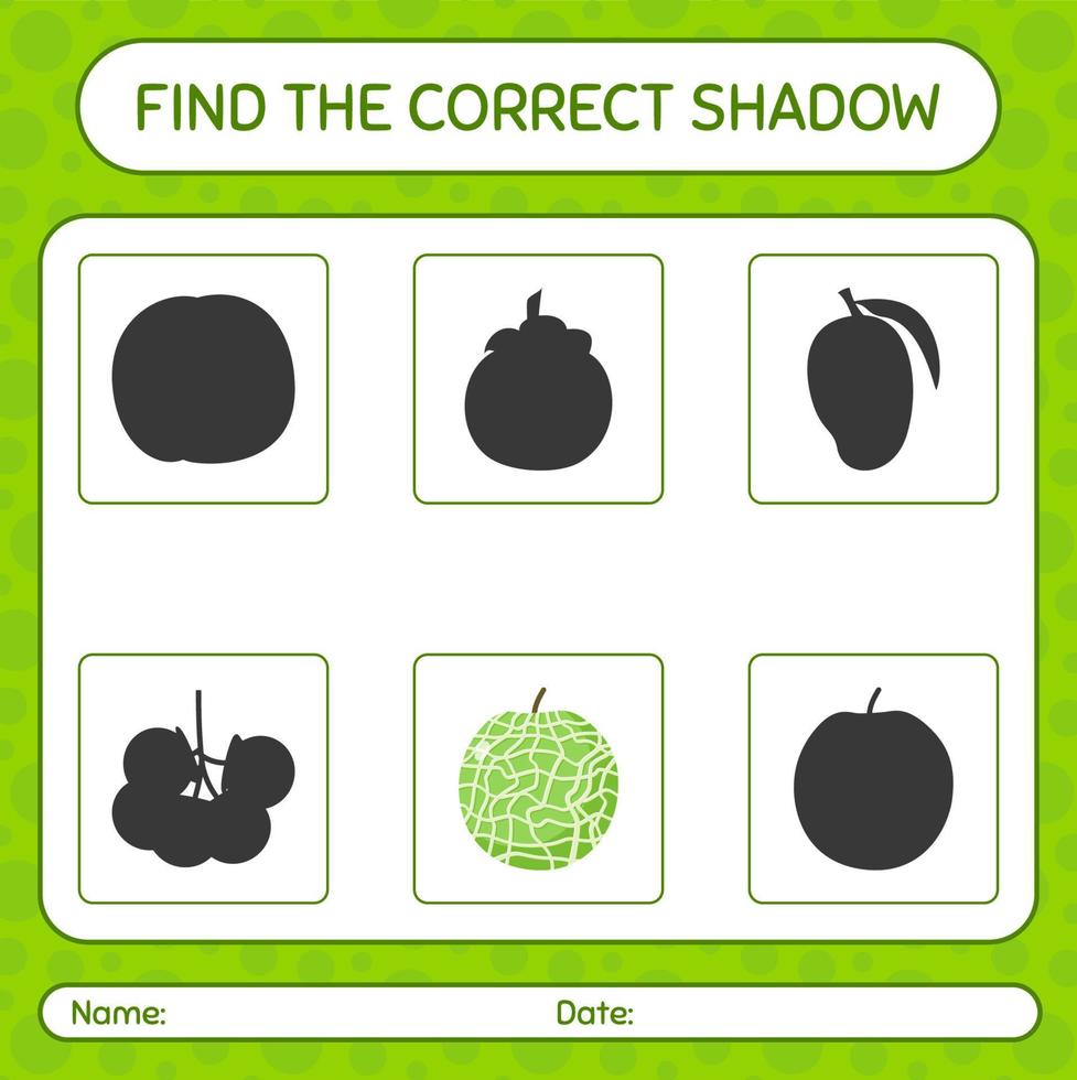 Find the correct shadows game with melon. worksheet for preschool kids, kids activity sheet vector