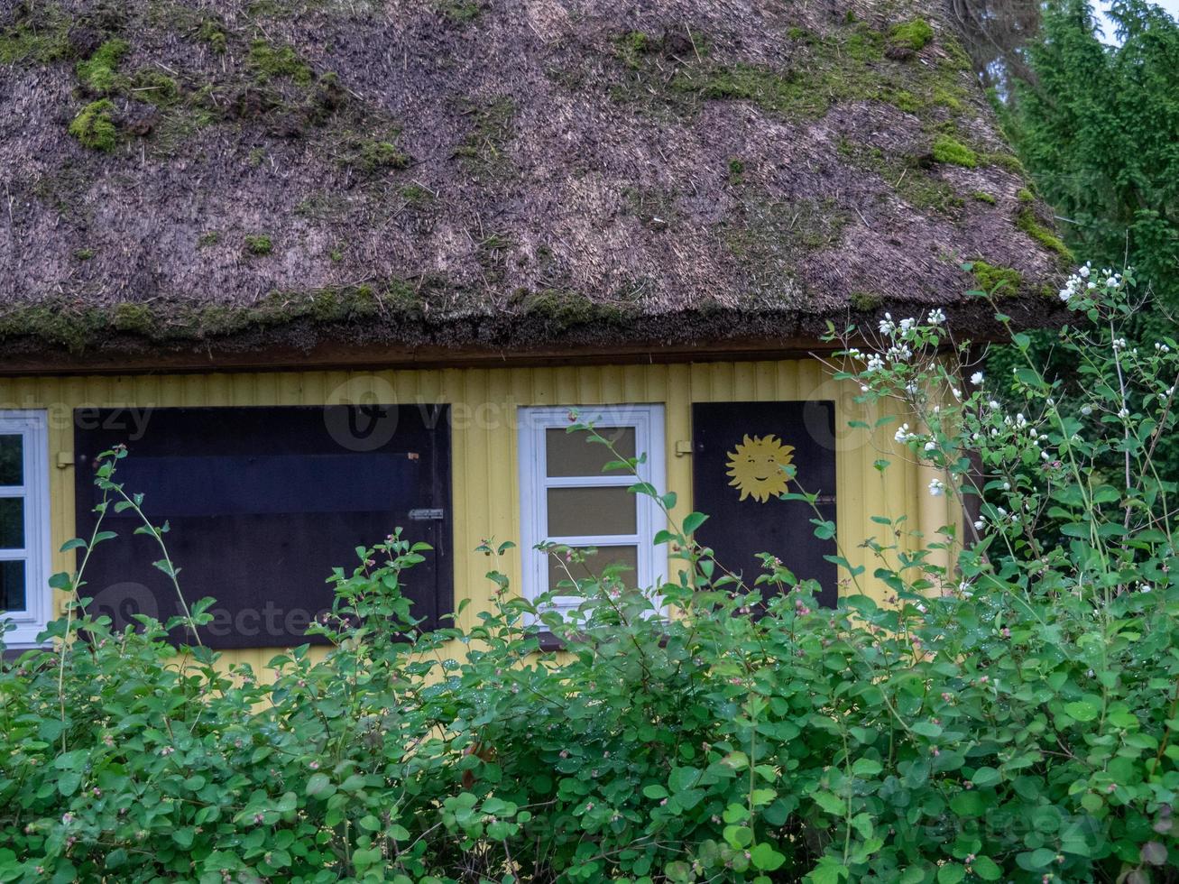Zingst at the baltic sea in germany photo