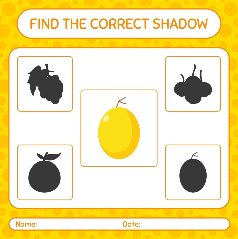 Find the correct shadows game with honeydew melon. worksheet for preschool kids, kids activity sheet vector