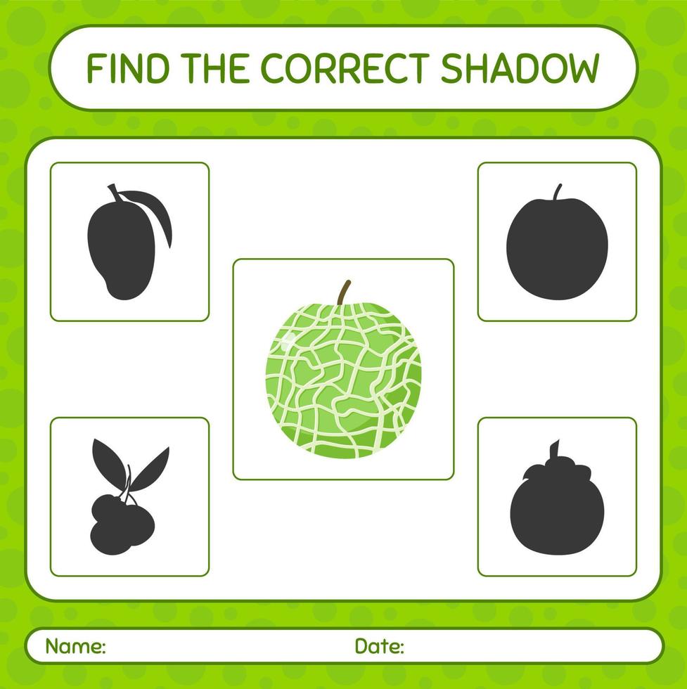 Find the correct shadows game with melon. worksheet for preschool kids, kids activity sheet vector