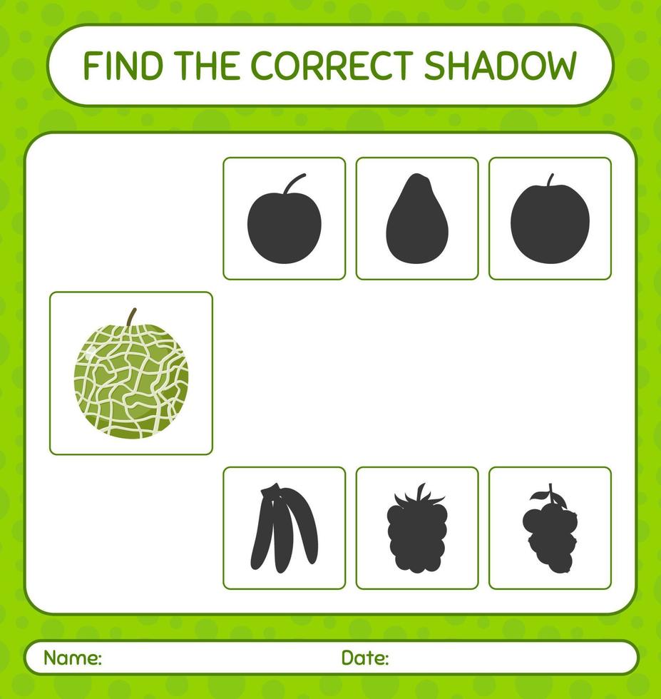 Find the correct shadows game with cantaloupe. worksheet for preschool kids, kids activity sheet vector