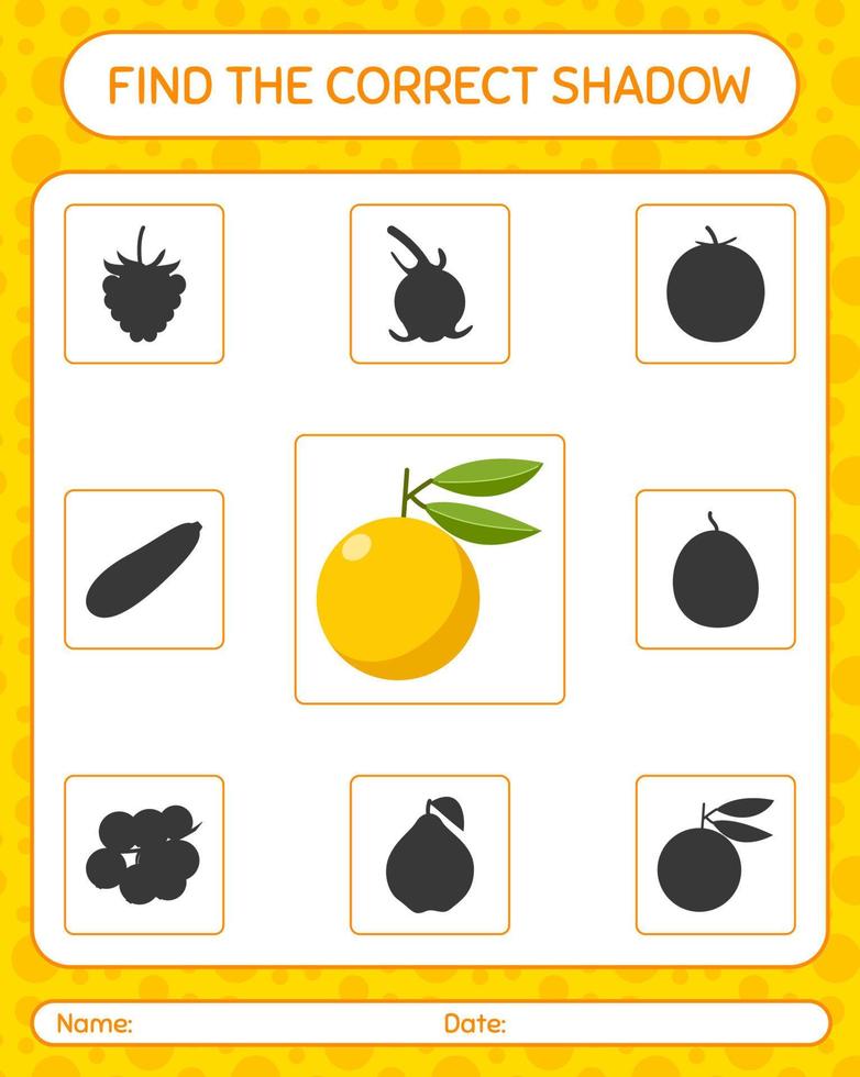 Find the correct shadows game with yuzu. worksheet for preschool kids, kids activity sheet vector