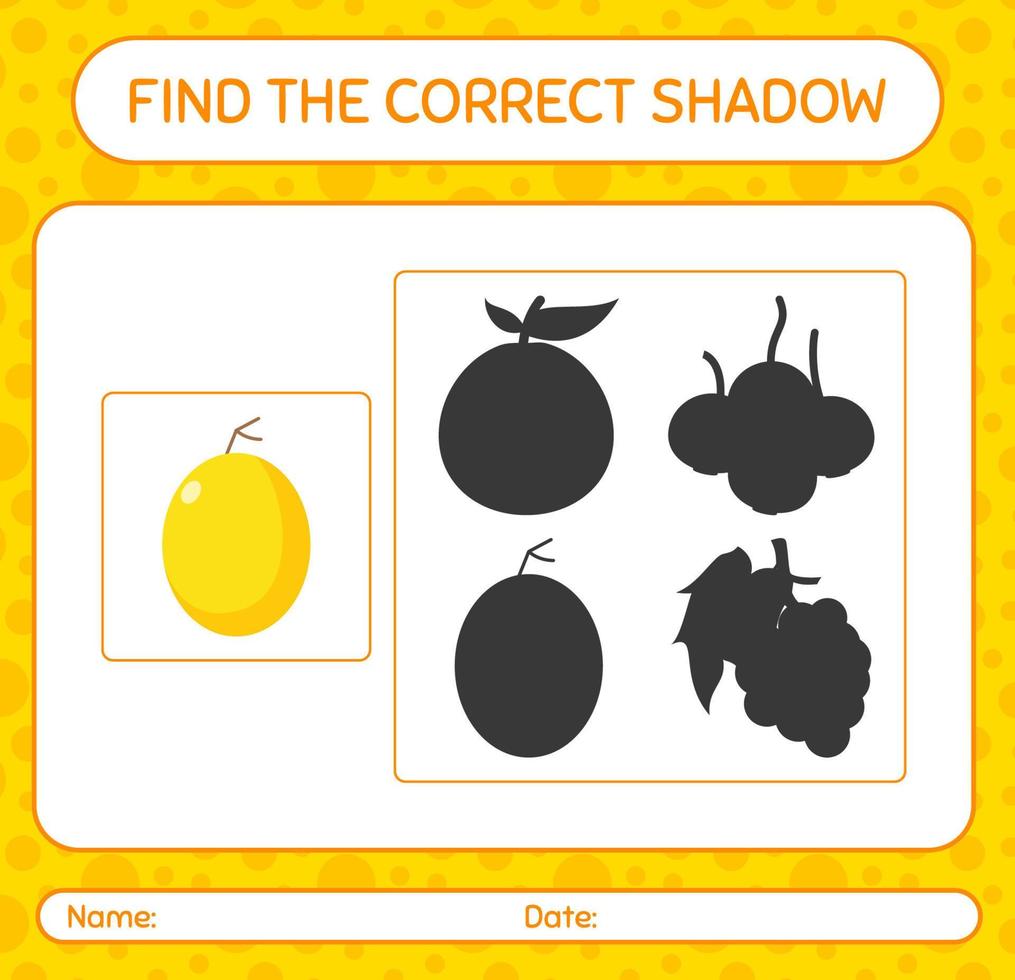 Find the correct shadows game with honeydew melon. worksheet for preschool kids, kids activity sheet vector