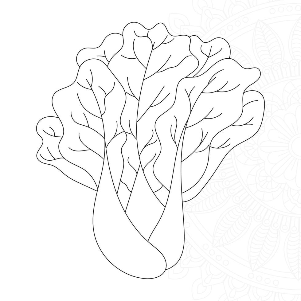 Cabbage Coloring Pages for Kids vector