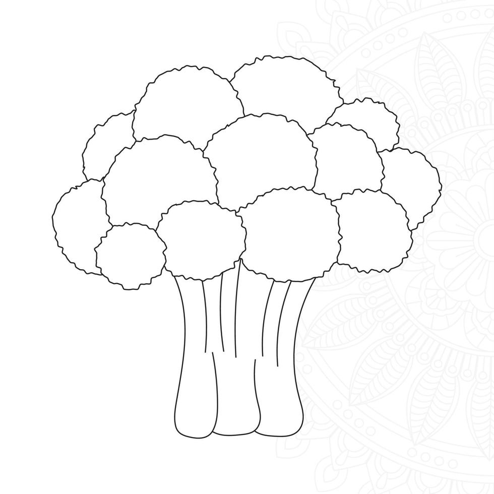 Cauliflower Coloring Pages for Kids vector