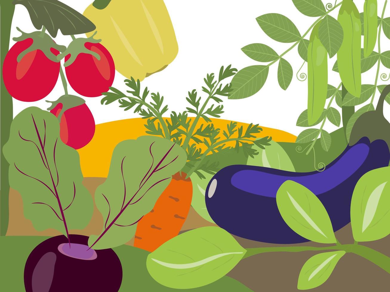 Stylish background with the image of ripe vegetables. Juicy tomatoes, sweet peppers, bright beets and carrots. Royal eggplant, cheerful peas. Packaging and advertising of eco, bio farm product vector