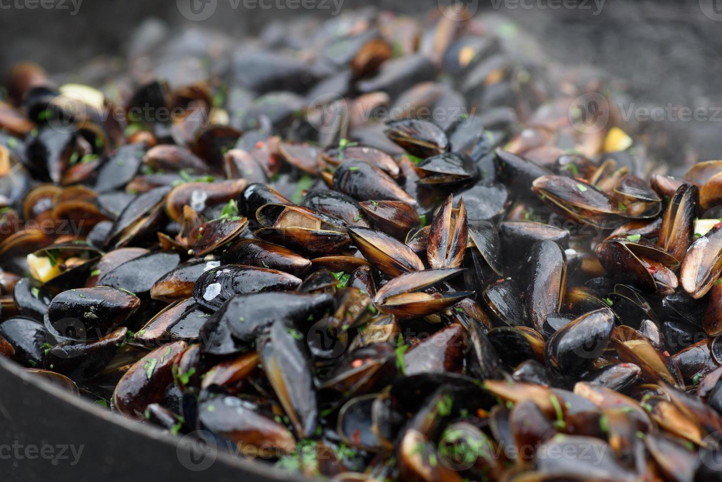 primer plano de mejillones cocidos en un festival de comida callejera, listo para comer mariscos fotografiados con enfoque suave foto