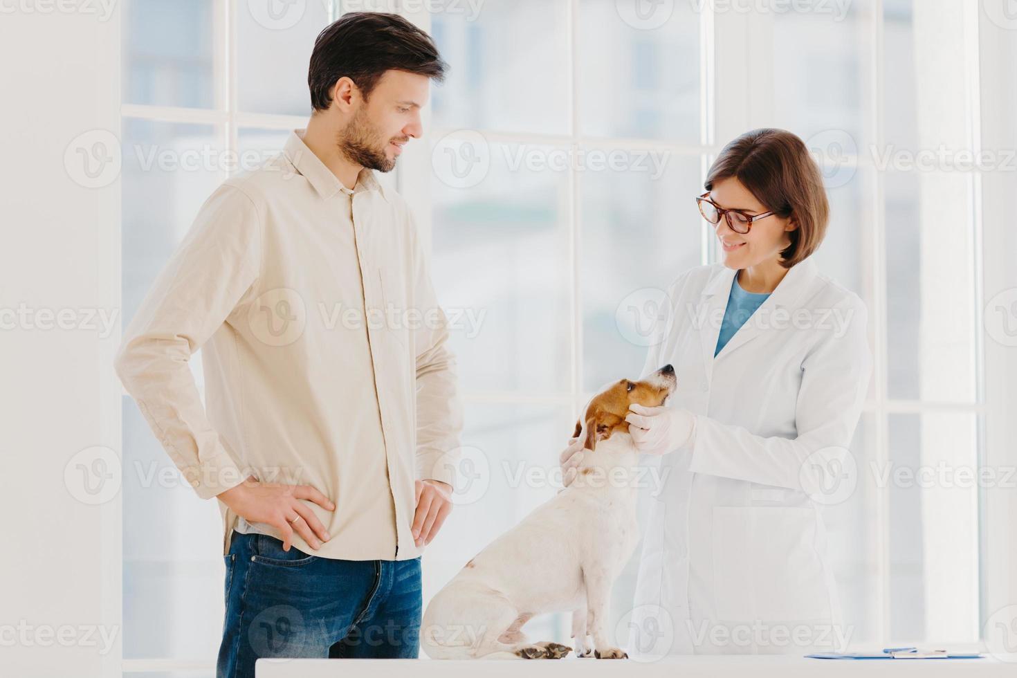 Medicine and pet care concept. Woman veterinarian wears white gown, spectalces, medic gloves, examines jack russell terrier, visit vet clinic. Man owner of ill dog gets consultancy of professional vet photo
