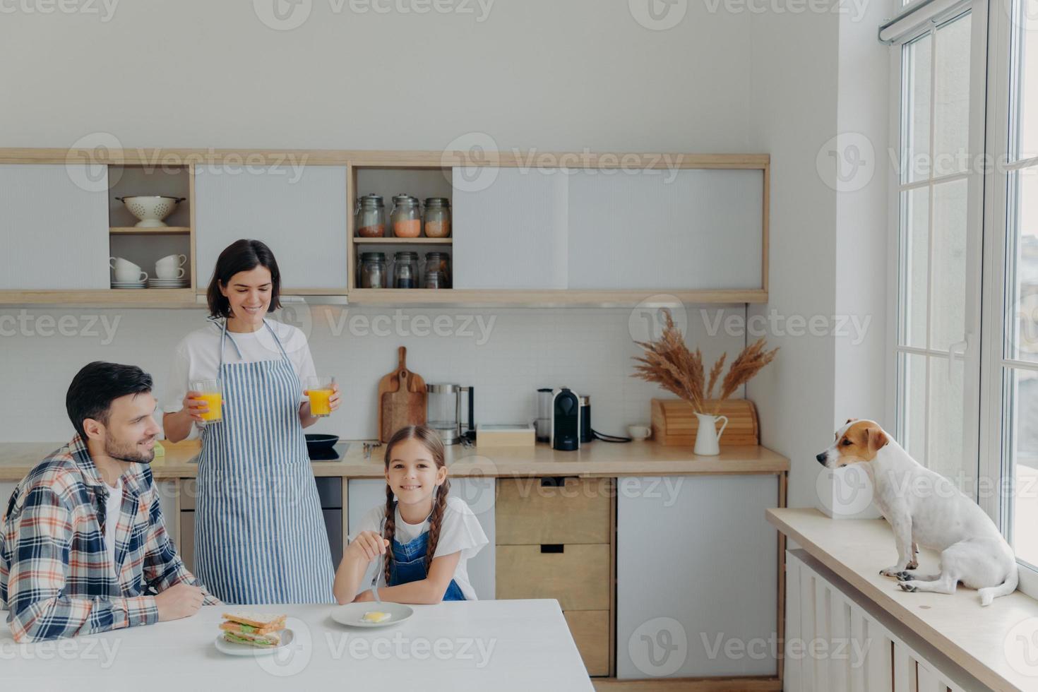 Shot of happy mother, daughter and father pose together at kitchen, drink fresh juice and eat burgers, have delicious breakfast prepared by mom, their favorite domestic pet poses on window sill photo