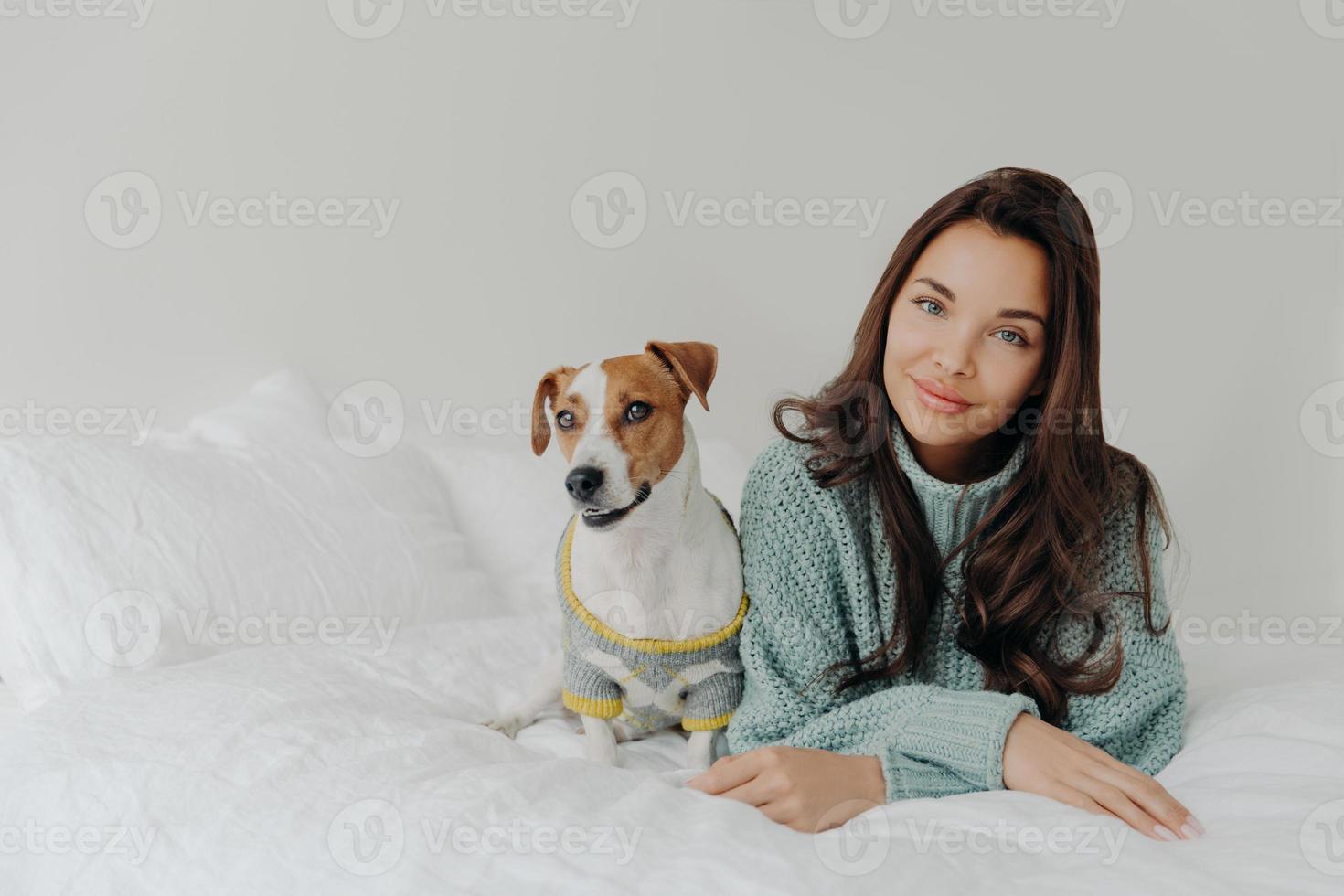 Photo of lovely dark haired woman dresses her dog for cold weather, going to have outdoor walk, lie together at comfortable bed against white background, enjoys relaxation time. Animal care.