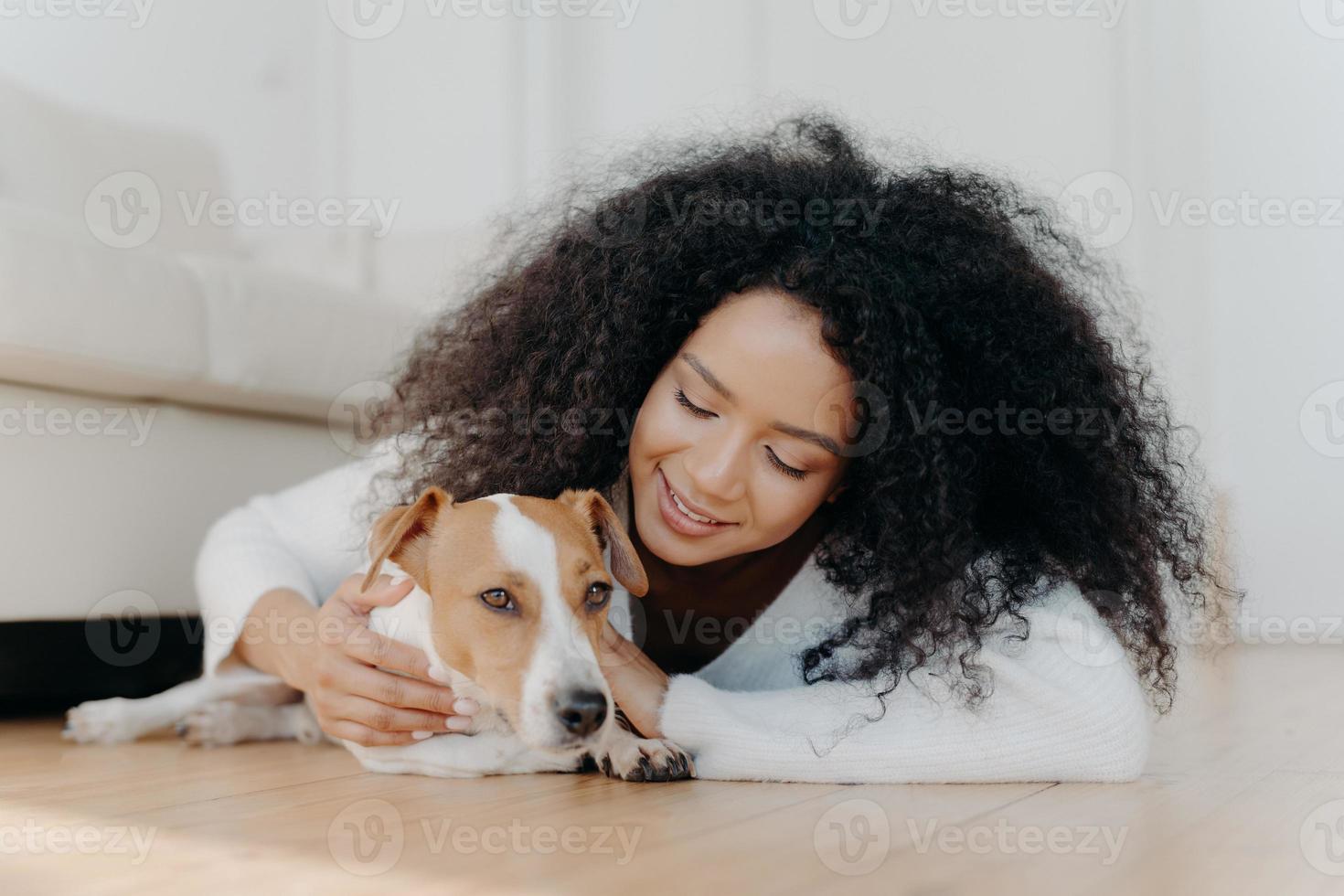 Relaxed Afro woman with crisp dark hair lies on floor, plays with cute puppy, has fun with jack russell terrier dog wears white sweater being in living room. Happy owner petting lovely domestic animal photo